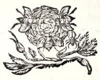 An illustration from Noctes granzovianae, seu, Discursus panegyricus de antiquis triumphis, in publicum tam ecclesiarum quàm politiarum usum (1661)