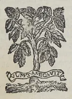 An illustration from Noenia in obitum illustris domini Sigfriedi, illustris atque generosi domini, domini Iohannis Friderici Hoffmanni, liberi baronis in Grumpuhel & Stechau &c. haereditarii praefecti aulae Styriacae, ac mariscalci haereditarii Austriae & Styricae: à consiliis, Illustriss. Dn. Dn. Caroli archiducis Austriae, consultissimi, filii: qui, post sesquimenstruam febris exaestuationem, Patauii Italiae, Calend. augusti, anno partus S. Virginis.1589. piè in Domino diem obiit: & postridiè corpore as autiam sepulturam sedis liberae Strechau in Germaniam abductus est: (1589)
