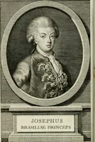Picture 2 of 32 from Noites jozephinas de Mirtilo : sobre a infausta morte do Serenissimo Senhor D. Joze Principe do Brazil, dedicadas ao consterna do povo luzitano (1790), leaf 7