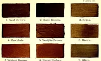 An illustration from A nomenclature of colors for naturalists : and compendium of useful knowledge for ornithologists (1886)