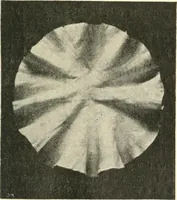 An illustration from Non-Euclidean geometry; a critical and historical study of its development (1912)