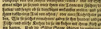 An illustration from Norden, oder Zu Wasser und Lande im Eise und Snee, mit Verlust Blutes und Gutes zu Wege gebrachte, und fleissig beschriebene Erfahrung und Vorstellung des Norden, : auss denen, welche zu unterschiedenen Zeiten gelebet, viel im Norden versuchet, viel auch umbsonst angefangen und angewandt haben : auff guter Freunde Begehren zusammen gebracht dargereichet, und ferner zu betrachten und zu vermehren, (1678)