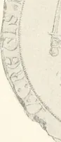 An illustration from Norges gamle vaaben, farver og flag (1894)