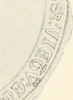 An illustration from Norges gamle vaaben, farver og flag (1894)