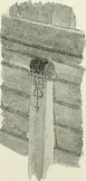 An illustration from Norges kirker i det 16de og 17de aarhundrede (1911)