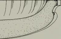 Picture 104 of 246 from Northern Italian details; (1916), leaf 140