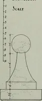 An illustration from Northern Italian details; (1916)