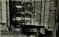 An illustration from Northern Italian details; (1916)