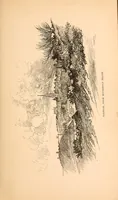 An illustration from The Norwich road; an East Anglian highway (1901)