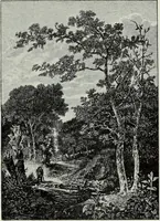 An illustration from The Norwich school of painting : being a full account of the Norwich exhibitions, the lives of the painters, the lists of their respecitve exhibits and descriptions of the pictures (1905)