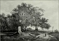 An illustration from The Norwich school of painting : being a full account of the Norwich exhibitions, the lives of the painters, the lists of their respecitve exhibits and descriptions of the pictures (1905)