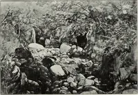 An illustration from The Norwich school of painting : being a full account of the Norwich exhibitions, the lives of the painters, the lists of their respecitve exhibits and descriptions of the pictures (1905)