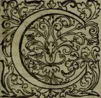 An illustration from Notae uberiores in Historiam Danicam Saxonis Grammatici : Una cum prolegomenis ad easdem notas (1645)