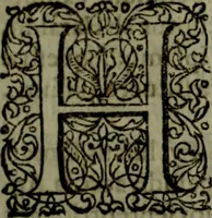 Picture 14 of 54 from Notae uberiores in Historiam Danicam Saxonis Grammatici : Una cum prolegomenis ad easdem notas (1645), leaf 156