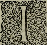 Picture 16 of 54 from Notae uberiores in Historiam Danicam Saxonis Grammatici : Una cum prolegomenis ad easdem notas (1645), leaf 233