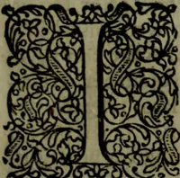 An illustration from Notae uberiores in Historiam Danicam Saxonis Grammatici : Una cum prolegomenis ad easdem notas (1645)