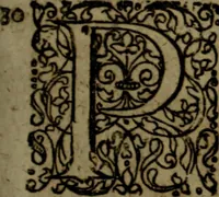An illustration from Notae uberiores in Historiam Danicam Saxonis Grammatici : Una cum prolegomenis ad easdem notas (1645)