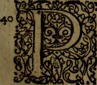 Picture 20 of 54 from Notae uberiores in Historiam Danicam Saxonis Grammatici : Una cum prolegomenis ad easdem notas (1645), leaf 384