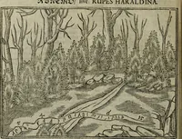 Picture 33 of 54 from Notae uberiores in Historiam Danicam Saxonis Grammatici : Una cum prolegomenis ad easdem notas (1645), leaf 501