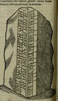 Picture 39 of 54 from Notae uberiores in Historiam Danicam Saxonis Grammatici : Una cum prolegomenis ad easdem notas (1645), leaf 573