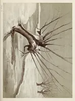 Picture 7 of 10 from A note on color for teachers of elementary schools (1902), leaf 65