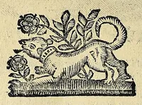 An illustration from Note overo memorie del museo del conte Lodovico Moscardo : nobile veronese uno de padri nell'Accademia filarmonica, dal medesimo descritte in trè libri : nel primo si discorre delle cose antiche, che in dette museo si ritrouano : nel secondo delle pietre, minerali, e terre : nel terzo de corali, conchiglie, animali, frutti, & altre cose in quello contenute ... : con l'aggiunta in questa seconda impressione della seconda parte delle stesso autore, accresciuta di cose spettanti particolarmente all'antichità : con l'indice d'vna gran parte delle sue medaglie, & pitture, come anco delli ritratti de prencipi, & altri illustri huomini, così in arme, come in lettere (1672)