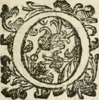 An illustration from Note, overo, Memorie del mvseo di Lodovico Moscardo ... (1656)