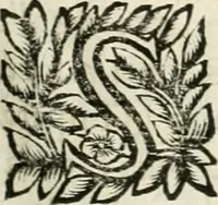 An illustration from Note, overo, Memorie del mvseo di Lodovico Moscardo ... (1656)