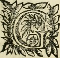 Picture 107 of 232 from Note, overo, Memorie del mvseo di Lodovico Moscardo ... (1656), leaf 102