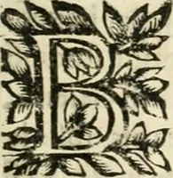 An illustration from Note, overo, Memorie del mvseo di Lodovico Moscardo ... (1656)