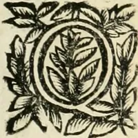 An illustration from Note, overo, Memorie del mvseo di Lodovico Moscardo ... (1656)