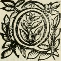 An illustration from Note, overo, Memorie del mvseo di Lodovico Moscardo ... (1656)