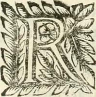 An illustration from Note, overo, Memorie del mvseo di Lodovico Moscardo ... (1656)