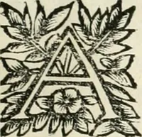 An illustration from Note, overo, Memorie del mvseo di Lodovico Moscardo ... (1656)