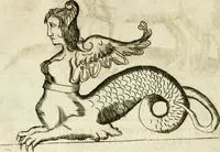 An illustration from Note, overo, Memorie del mvseo di Lodovico Moscardo ... (1656)