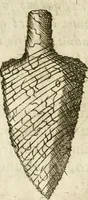 Picture 160 of 232 from Note, overo, Memorie del mvseo di Lodovico Moscardo ... (1656), leaf 171