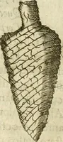 An illustration from Note, overo, Memorie del mvseo di Lodovico Moscardo ... (1656)