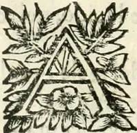 An illustration from Note, overo, Memorie del mvseo di Lodovico Moscardo ... (1656)