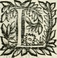 An illustration from Note, overo, Memorie del mvseo di Lodovico Moscardo ... (1656)