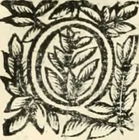 An illustration from Note, overo, Memorie del mvseo di Lodovico Moscardo ... (1656)