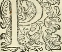 An illustration from Note, overo, Memorie del mvseo di Lodovico Moscardo ... (1656)