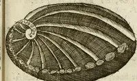 An illustration from Note, overo, Memorie del mvseo di Lodovico Moscardo ... (1656)