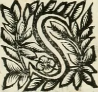 An illustration from Note, overo, Memorie del mvseo di Lodovico Moscardo ... (1656)