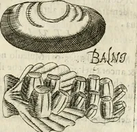 Picture 197 of 232 from Note, overo, Memorie del mvseo di Lodovico Moscardo ... (1656), leaf 232
