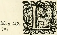 An illustration from Note, overo, Memorie del mvseo di Lodovico Moscardo ... (1656)
