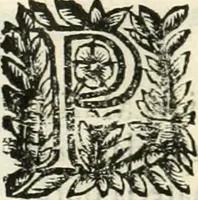 An illustration from Note, overo, Memorie del mvseo di Lodovico Moscardo ... (1656)