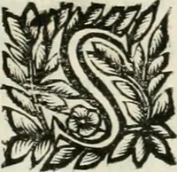 An illustration from Note, overo, Memorie del mvseo di Lodovico Moscardo ... (1656)