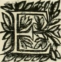 An illustration from Note, overo, Memorie del mvseo di Lodovico Moscardo ... (1656)