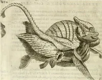 Picture 216 of 232 from Note, overo, Memorie del mvseo di Lodovico Moscardo ... (1656), leaf 255