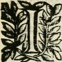 An illustration from Note, overo, Memorie del mvseo di Lodovico Moscardo ... (1656)